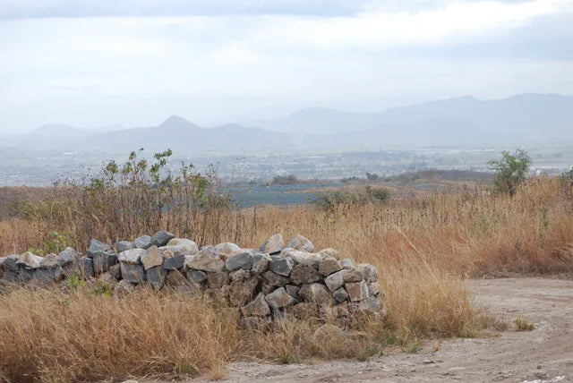 Dry-stone walls and hills in the Jalisco countryside