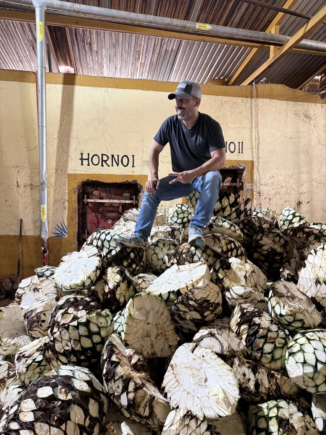 A team member sitting on a pile of agave piñas at the distillery hornos