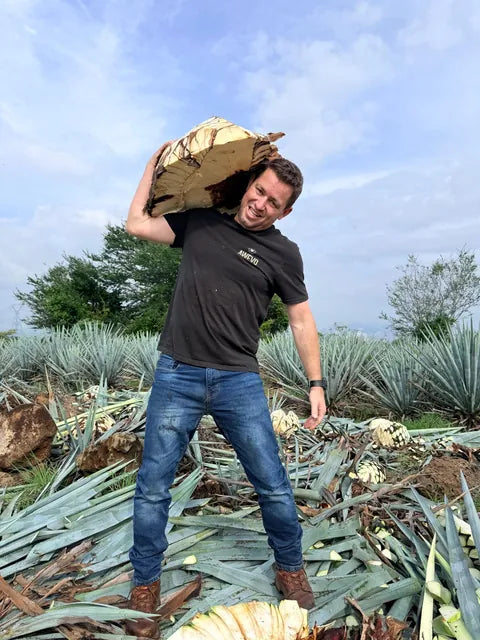 A team member carrying a cut piña in the field