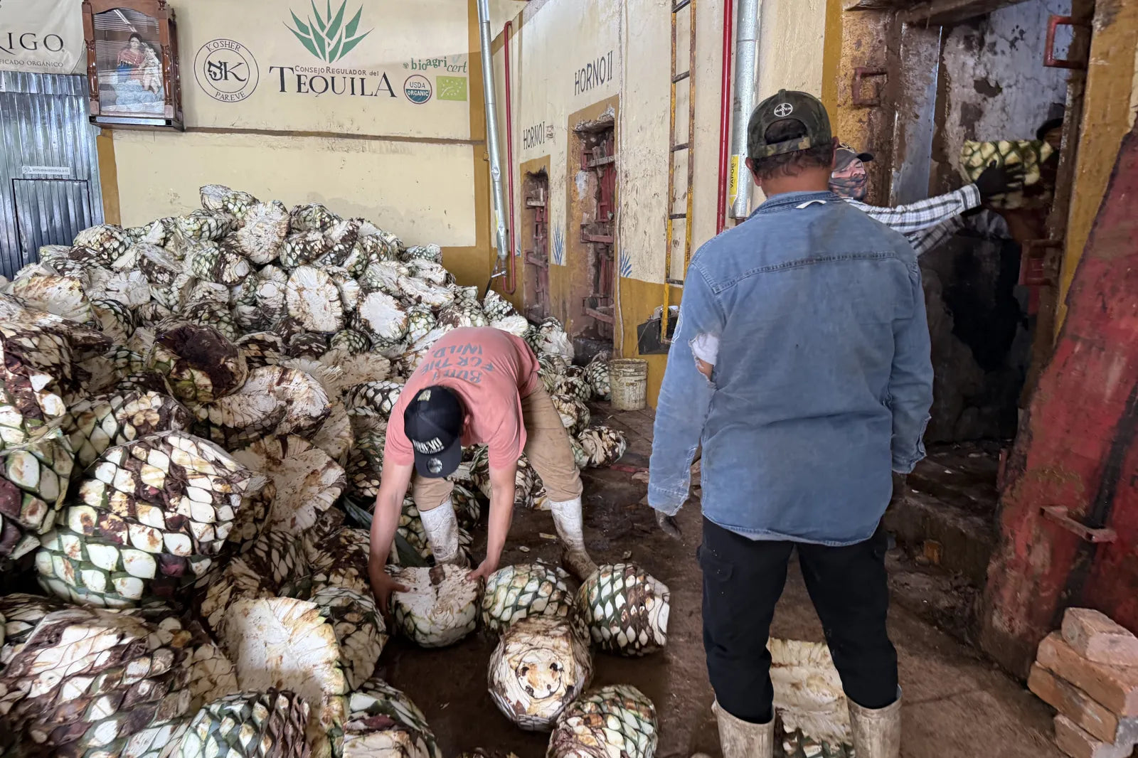 A worker passing an agave piña through the horno door at Destiladora Refugio