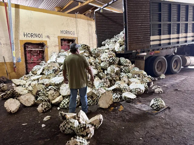 Piñas spilling from a truck in front of the hornos